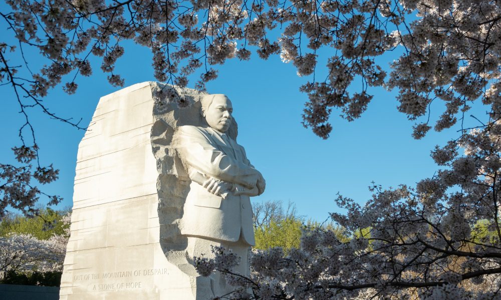 Martin Luther King's memorial in Washington. DC framed by cherry blossoms. Memorial is on the tidal basin