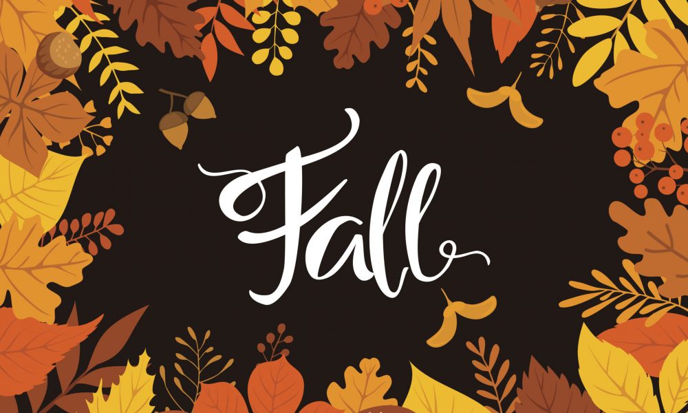 autumn fall leaves background